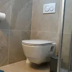 Schmitte Lejlighed Biberwier